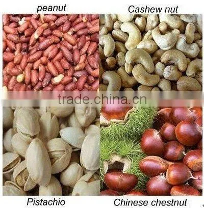 Electric peanut roaster