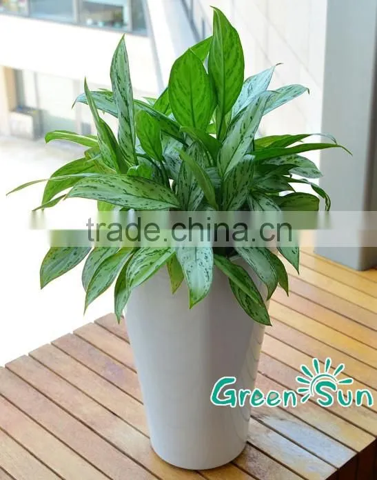 Hotsale PP plastic indoor and outdoor flower gardening pots