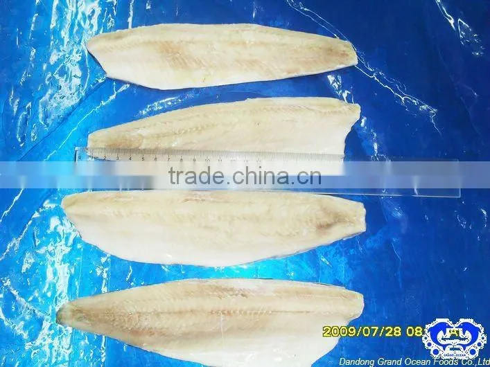 seafood IQF frozen herring fillet