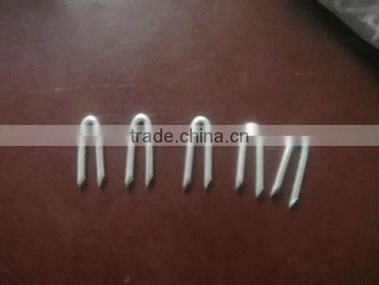 galvanised U nails