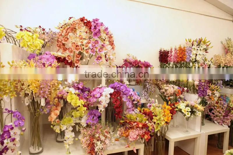 27068P forsythia temple florist