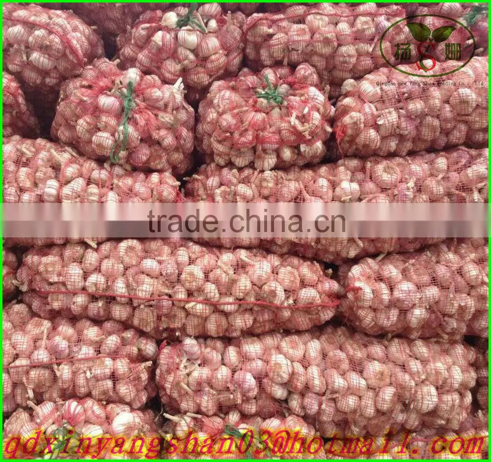 (NEW) 2015 fresh white garlic quality agriculture wholesale china