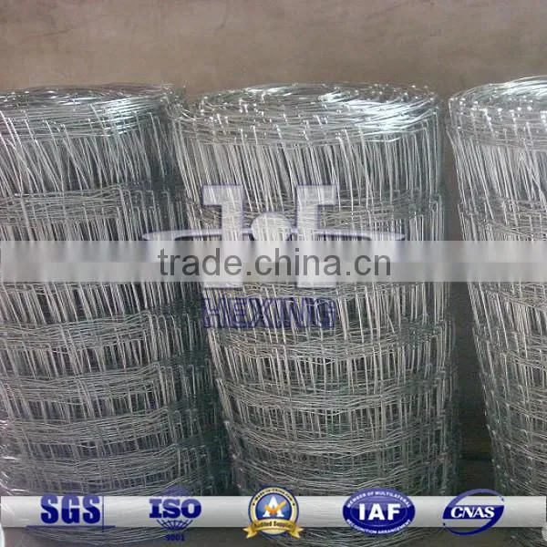 Hot-dipped Galvanized Wire Mesh for Grassland/Farm Fence