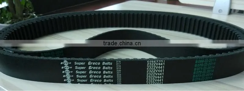 2232v441 Variable Speed v belt