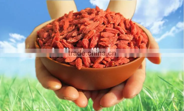 goji berry from China, good price goji berry
