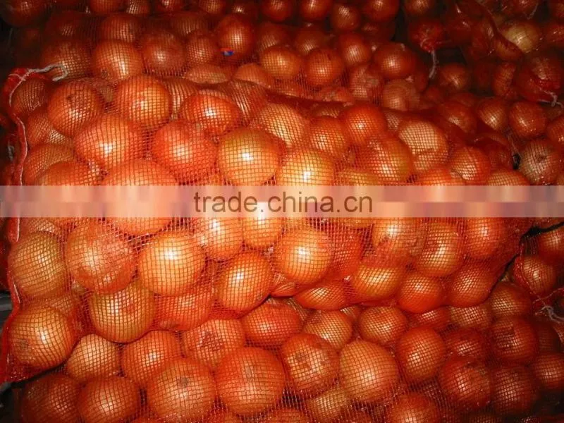 2015 Chinese fresh yellow onion