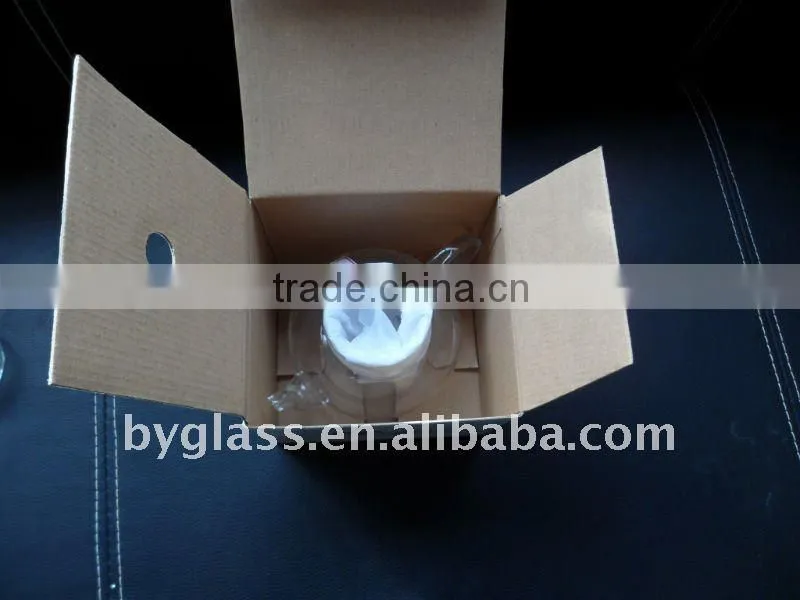 double wall glass cup