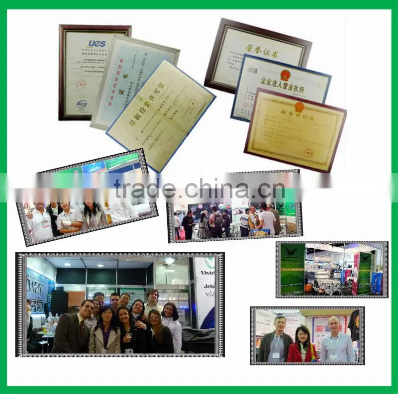 Personalised Assorted Plastic Fan Wholesale (directly from factory)