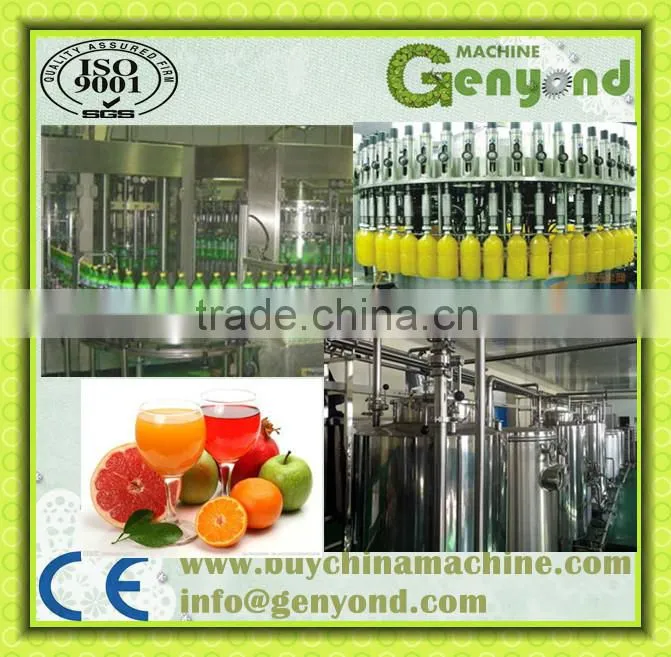 Complete Fruit Juice Production Line with factory price
