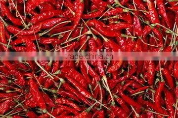 Industrial red chilli dehydrator /chilli dehydrated