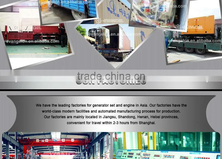 diesel Generator Set diesel generator maintenance manual