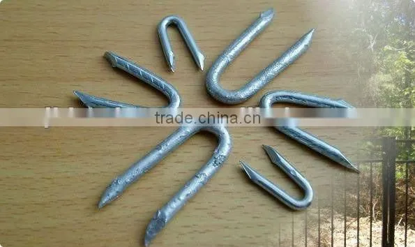 u type nails