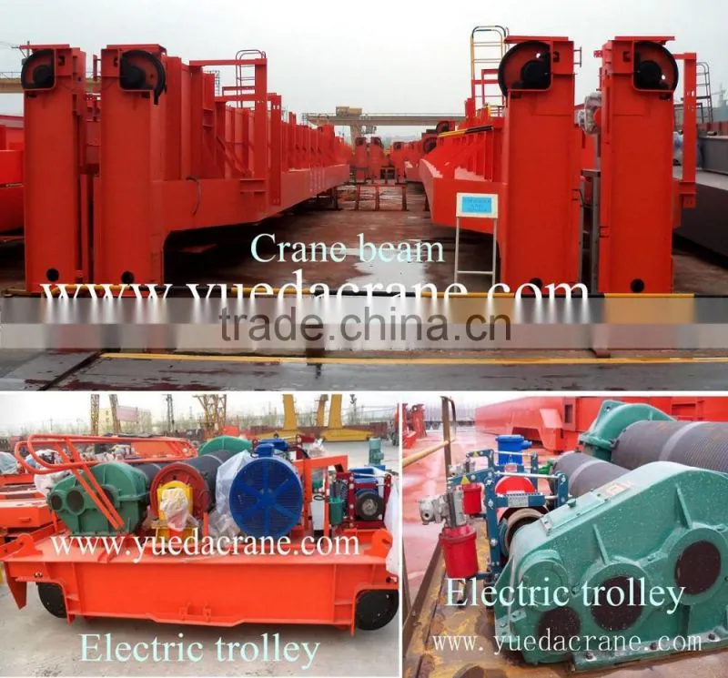 5ton to 550ton Two Beam EOT Crane