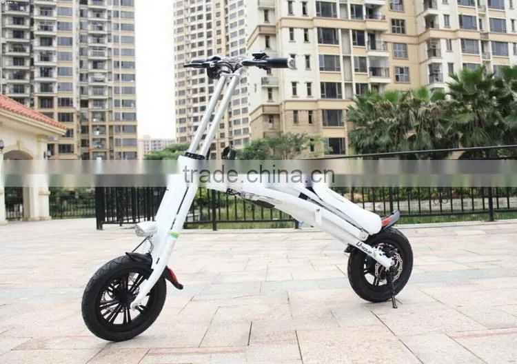 Newest design newest sale eec electric scooter for students