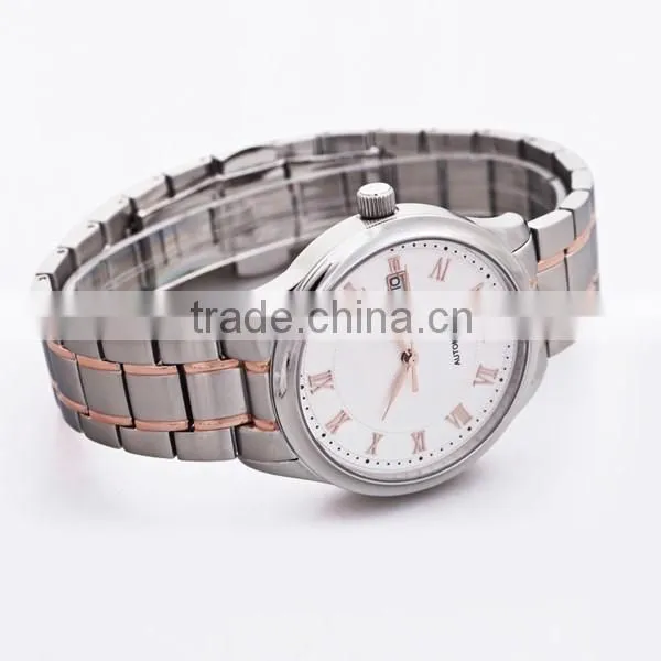 Water Resistant Stainless Steel Strap Automatical Date Mechanical Watch