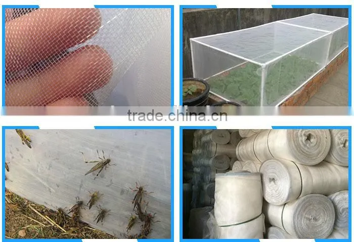 110g/m2 mesh 50anti insect net