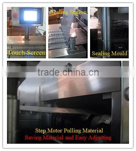DPP-140 Automatic Blister Machine