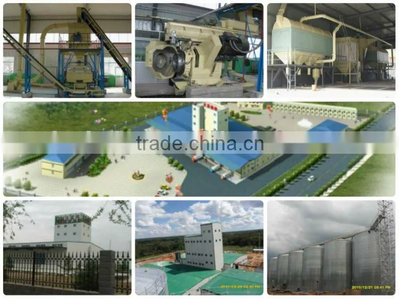 Sawdust granulating production line granulating from china biggest manufacturer