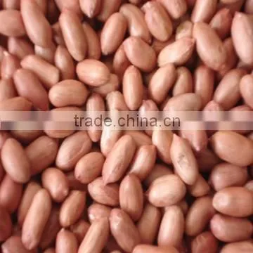 Red peanut kernel new season
