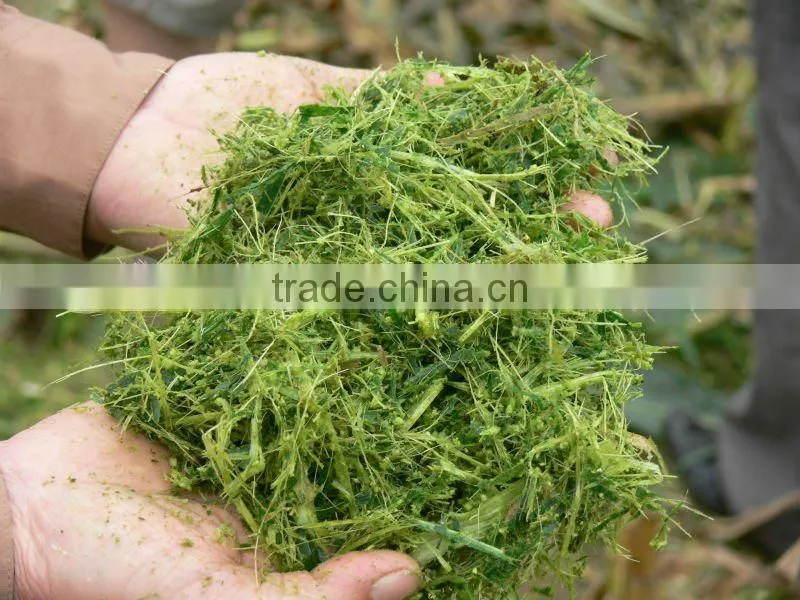 corn silage machine silage harvester from China professional manufacturer