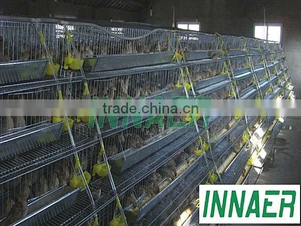 Supply Feeding Quail Cage in High Quality(ISO9001)