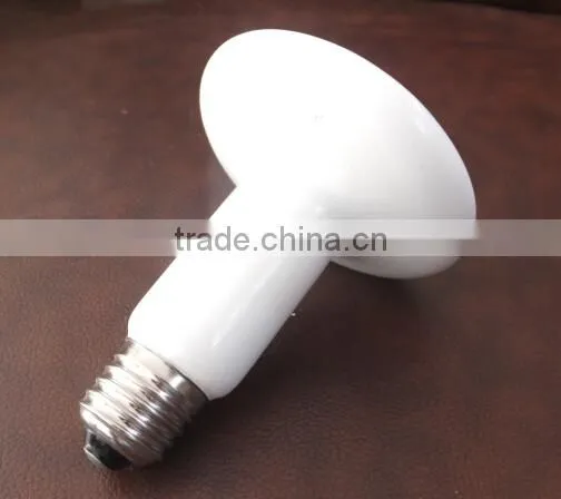 animal UV lamp
