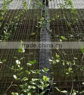 Trellis Mesh