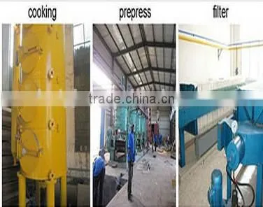 Palm Fruit Processing Machine Iin New Condition