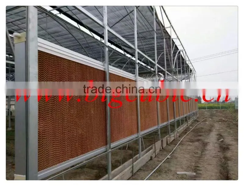 chiken house evaporate cooling pad