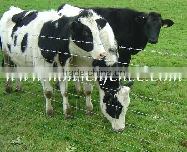 Used Cattle fence for farm(manufacturer and exporter)