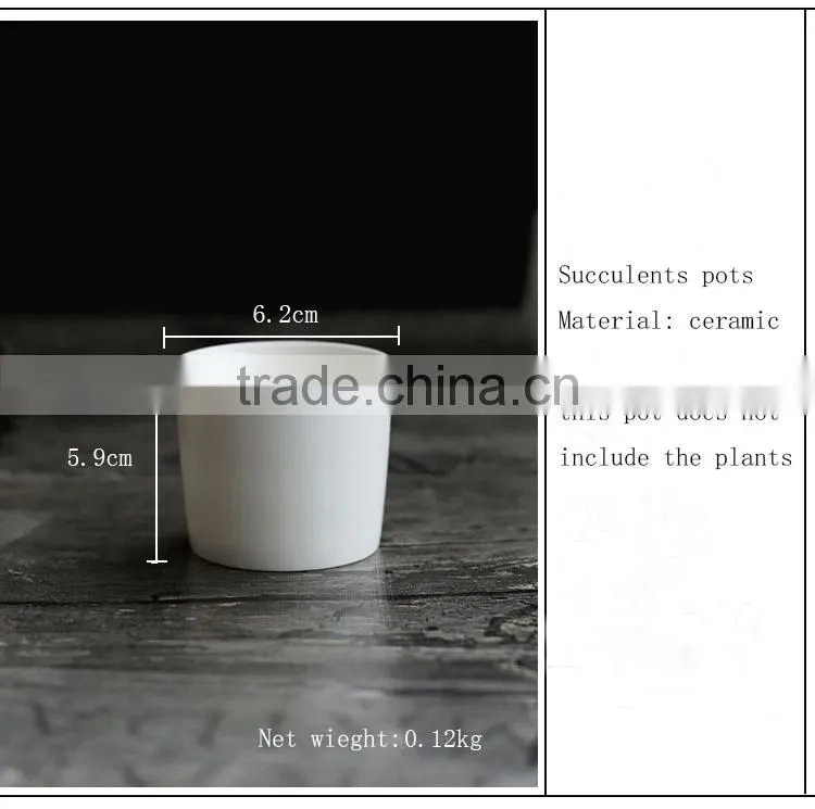 Simple morden desktop decor mini white ceramic flower pots for succulent planter