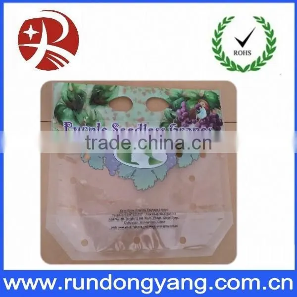 Slider Zipper Fruit Grape Bag