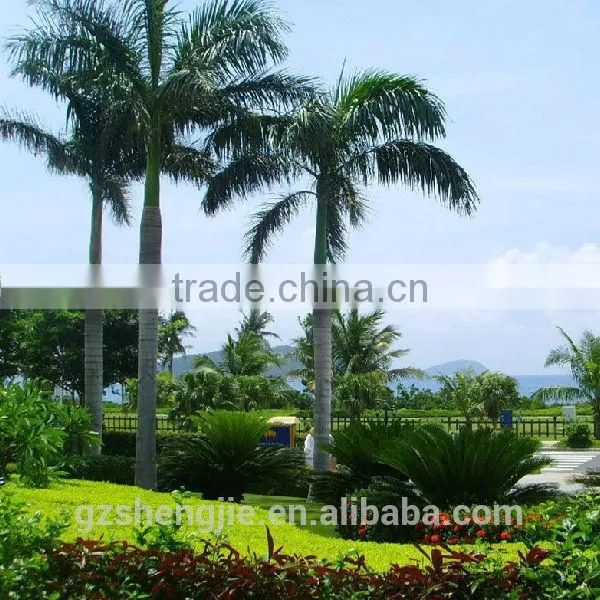 LXY080513 large outdoor decoration artificial coconut palm trees big plastic palm tree