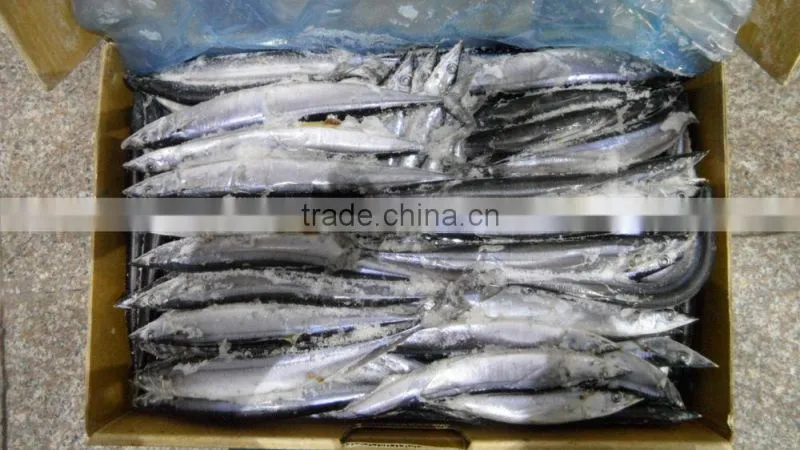 China frozen pacific saury 80-100g3# size for sale