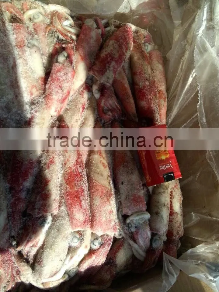wholessale fishing bait and tackle loligo