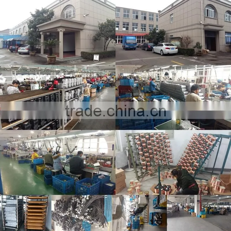 2 Cylinder Automatic Truck Tire Inflation Tyre Inflator Portabe DC 12v Mini Car Air Compressor