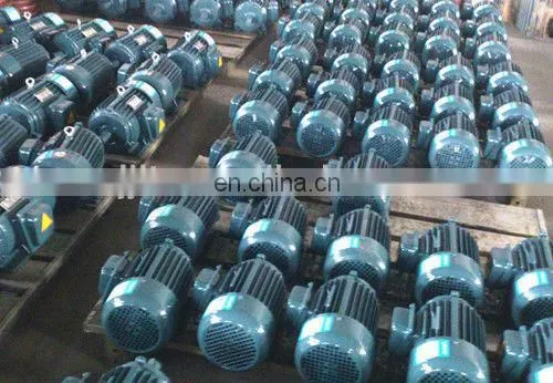 YT three phase induction motor price