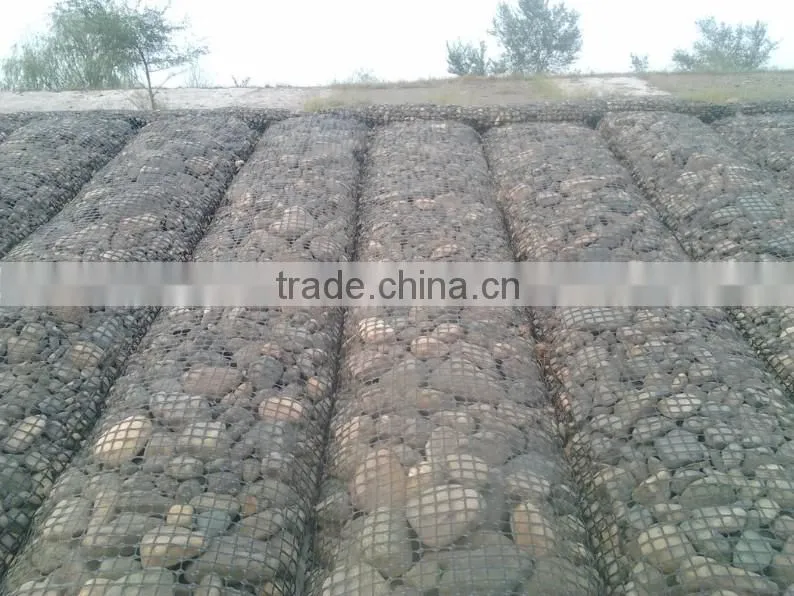 PP Biaxial Geogrid with factory price