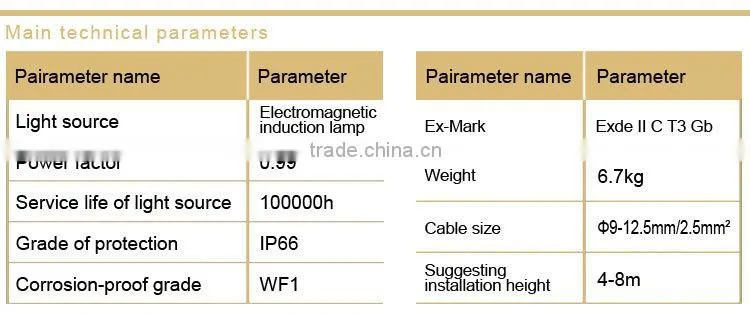 Explosion-proof lights (high frequency electrodeless lamp)