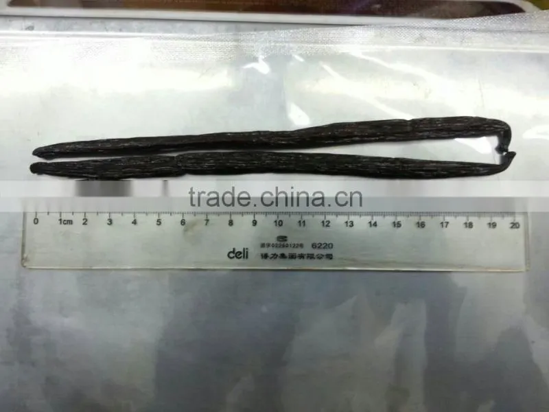 High Class Best Spice Madagascar Vanilla Bean