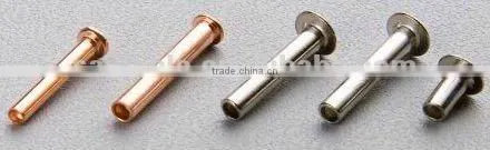 High Precision Metal Pipe Rivets