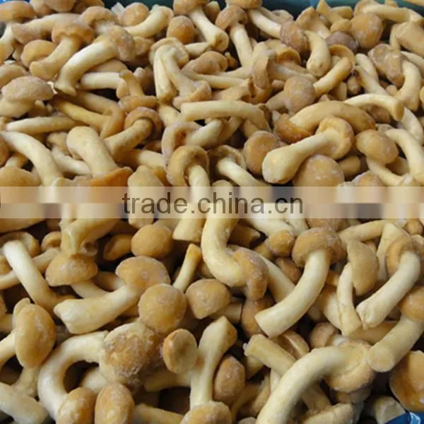 Iqf Frozen Nameko