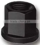 Ring Nut