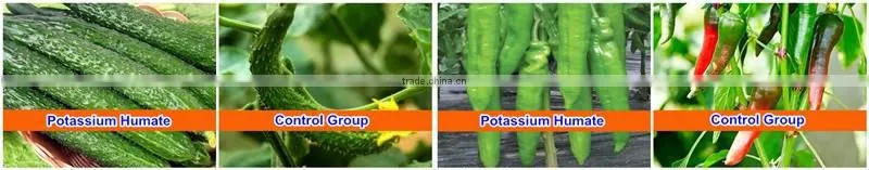 Huminrich Shenyang Deep Irrigation Rapid Absorption By Plants Potassium Humate Manufacturers