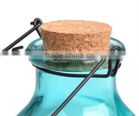 Home And Guarden Bottled Fly Catcher Insect Traps