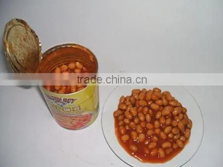 Natural canned broad beans