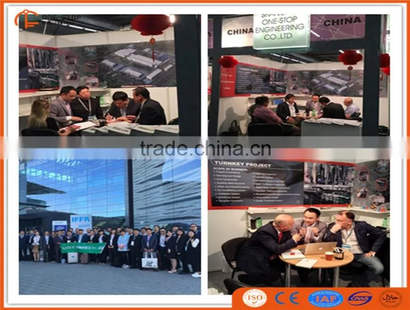 500 cattle slaughter line equipment with good layout design