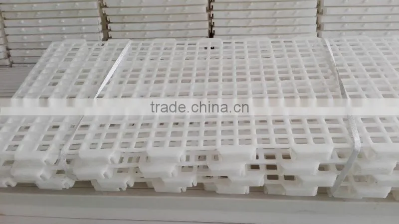 chicken farming equipment