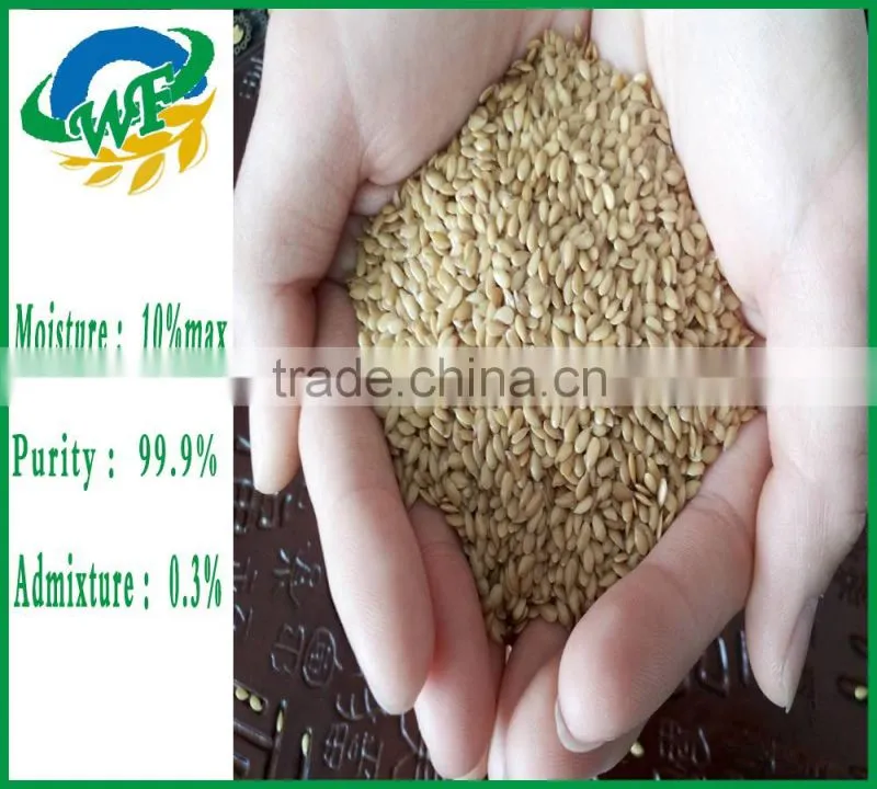 Golden and brown flax seed