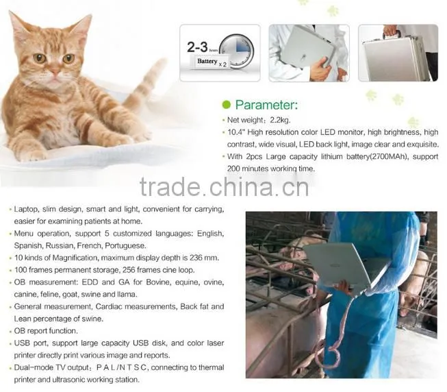 cheap China portable color doppler ultrasound ce approved veterinary use full digital ultrasound scanner